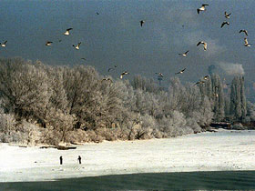 Зима. Фото: 7c.ru