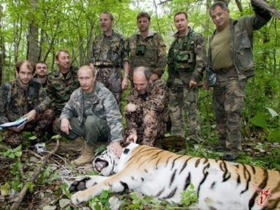 Путин и тигрица. Фото с сайта trust.ua