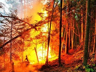 Забайкалье, лесной пожар. Фото: facebook.com