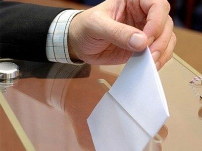Выборы, голосование Фото: gazetadaily.ru