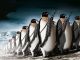 Пингввины. Источник - www.sunhome.ru