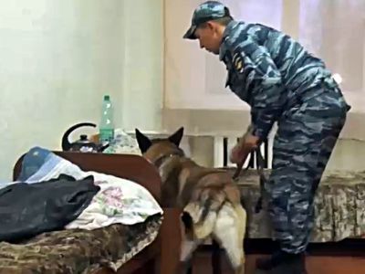Обыск с собаками. Фото: Александр Воронин, Каспаров.Ru