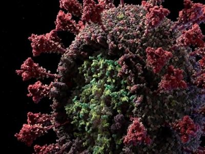 3D модель вируса SARS-CoV-2. Фото: Visual Science