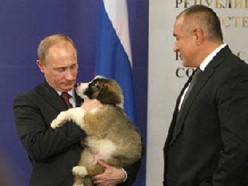 Владимир Путин с подаренным щенком. Фото с сайта: premier.gov.ru